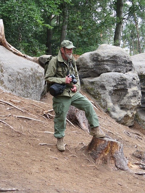 Free download Forest Keeper Strider Walking -  free photo or picture to be edited with GIMP online image editor