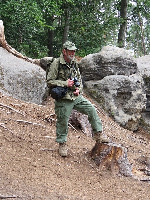 Ücretsiz indir Forest Keeper Strider Walking - GIMP çevrimiçi resim düzenleyici ile düzenlenecek ücretsiz fotoğraf veya resim