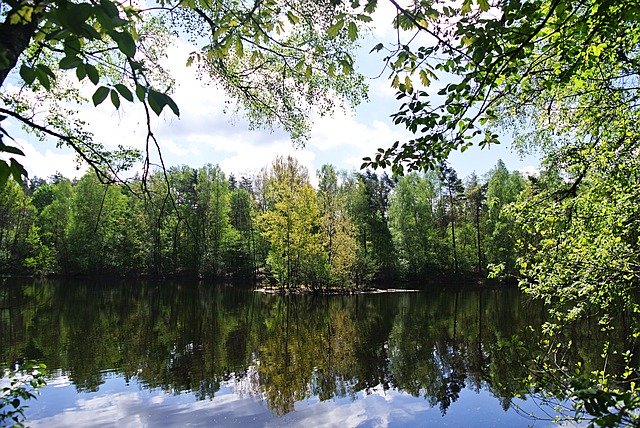 Free download Forest Lake Waldsee -  free photo or picture to be edited with GIMP online image editor