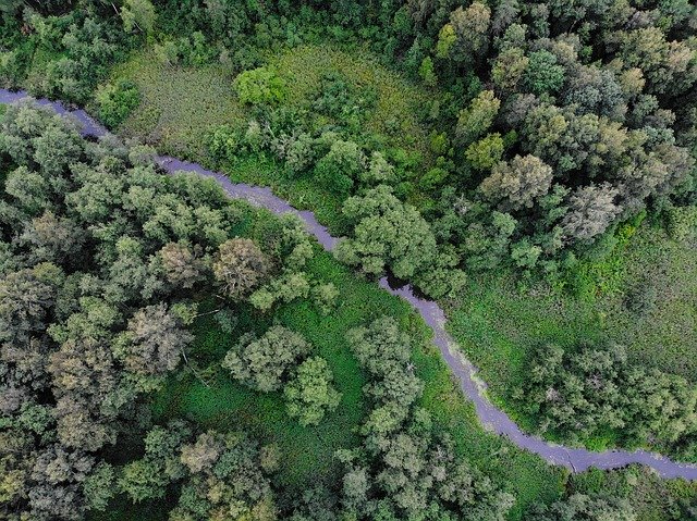 تحميل مجاني Forest Landscape Drone - صورة مجانية أو صورة لتحريرها باستخدام محرر الصور عبر الإنترنت GIMP