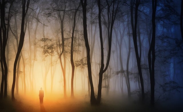 GIMPで編集する無料の森の男のシルエット霧霧の無料画像を無料でダウンロード無料のオンライン画像エディター