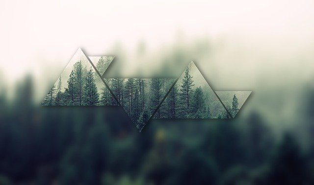 Free download Forest Misty Fog -  free illustration to be edited with GIMP free online image editor