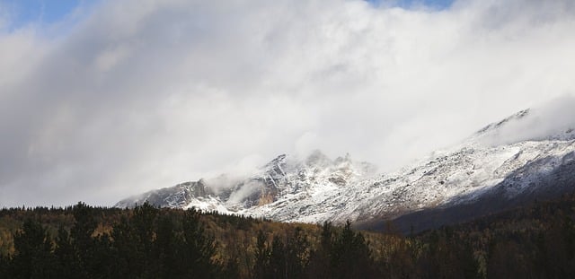 Muat turun percuma gambar percuma ruska gunung hutan musim luruh untuk diedit dengan editor imej dalam talian percuma GIMP