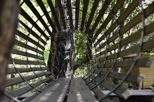Free download Forest Nasse -  free photo or picture to be edited with GIMP online image editor