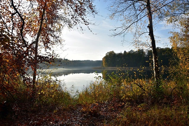 Free download forest nature lake water trees free picture to be edited with GIMP free online image editor