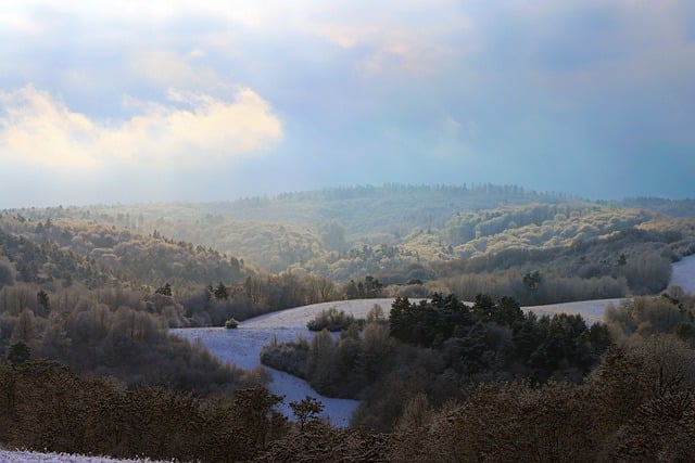 Free download forest nature trees country winter free picture to be edited with GIMP free online image editor