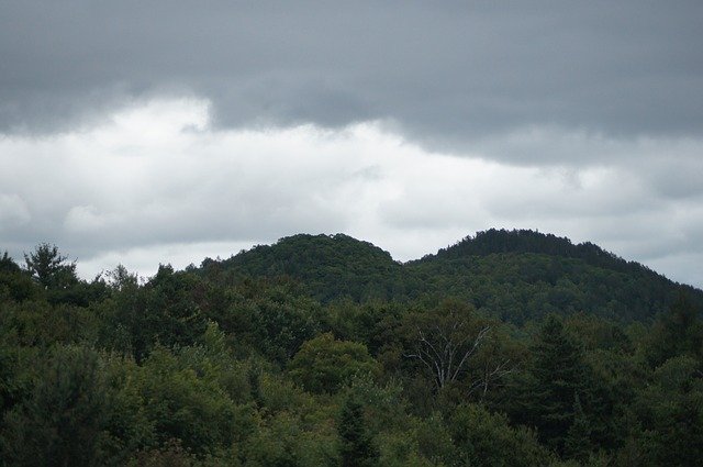 Téléchargement gratuit Forest Outdoor Landscape - photo ou image gratuite à éditer avec l'éditeur d'images en ligne GIMP