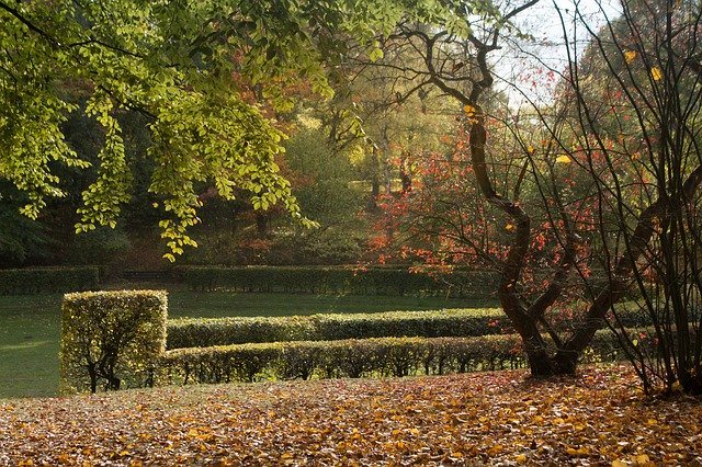 ดาวน์โหลดฟรี Forest Park Harburg City - รูปถ่ายหรือรูปภาพฟรีที่จะแก้ไขด้วยโปรแกรมแก้ไขรูปภาพออนไลน์ GIMP