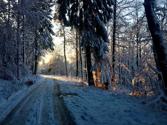 Free download Forest Path Sunrise Winter -  free photo or picture to be edited with GIMP online image editor