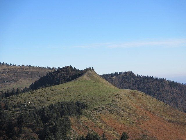 تنزيل مجاني Forest Payolle Pyrénées - صورة مجانية أو صورة ليتم تحريرها باستخدام محرر الصور عبر الإنترنت GIMP