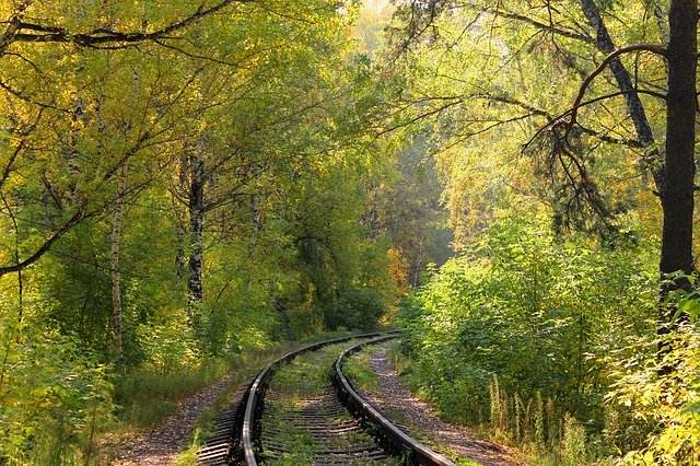 Descarga gratuita Forest Railway Twist: foto o imagen gratuita para editar con el editor de imágenes en línea GIMP