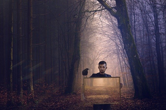 Free download Forest Raven Picture -  free photo or picture to be edited with GIMP online image editor