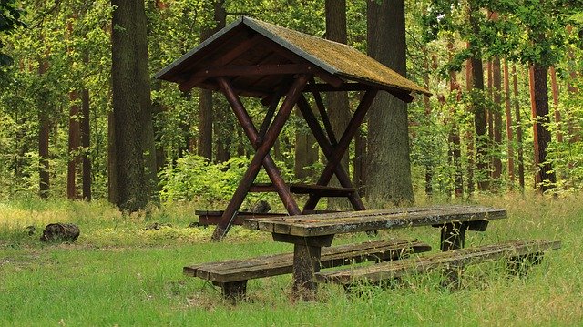 Kostenloser Download Forest Resting Place Bench - kostenloses Foto oder Bild zur Bearbeitung mit GIMP Online-Bildbearbeitung