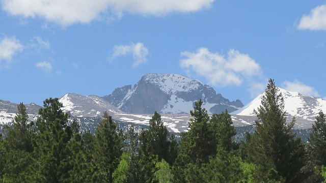 Free download Forest Rocky Mountains Landscape -  free photo or picture to be edited with GIMP online image editor