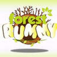 Free download Forest Rummy free photo or picture to be edited with GIMP online image editor