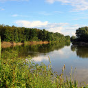 forests and lakes  screen for extension Chrome web store in OffiDocs Chromium