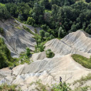 Forests and rocky mountains  screen for extension Chrome web store in OffiDocs Chromium