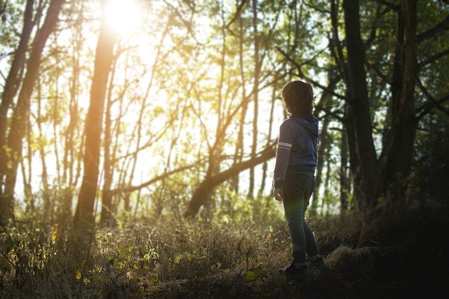 Ücretsiz indir Forest Sister Children - GIMP çevrimiçi resim düzenleyici ile düzenlenecek ücretsiz fotoğraf veya resim