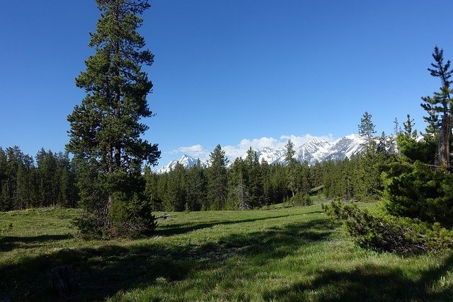 Free download forest teton range free picture to be edited with GIMP free online image editor