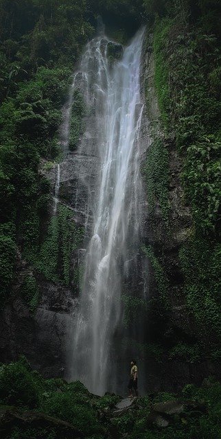 Bezpłatne pobieranie las wodospad góra natura bezpłatne zdjęcie do edycji za pomocą bezpłatnego edytora obrazów online GIMP