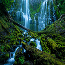 Forest Waterfalls  screen for extension Chrome web store in OffiDocs Chromium