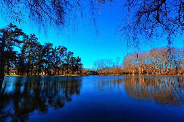 تنزيل Forest Water Landscape مجانًا - صورة مجانية أو صورة لتحريرها باستخدام محرر الصور عبر الإنترنت GIMP