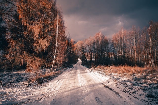 Free download forest winter road snow path free picture to be edited with GIMP free online image editor