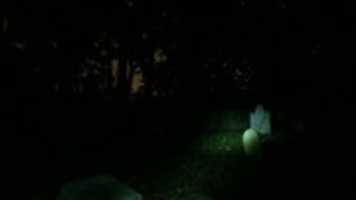 Free download Forgotten Country Cemetery free photo or picture to be edited with GIMP online image editor