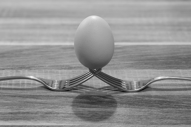 Free download fork egg macro photo art free picture to be edited with GIMP free online image editor