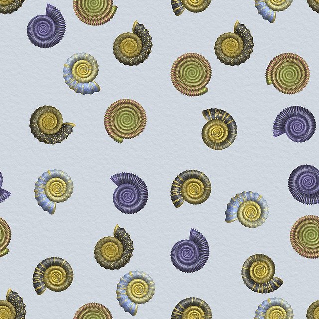 Free download Fossil Ammonite Extinct -  free illustration to be edited with GIMP free online image editor