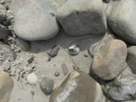 Free download fOSSIL HUNT AT FERNALD POINT MONTECITO free photo or picture to be edited with GIMP online image editor