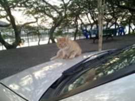 Free download Foto 4790 free photo or picture to be edited with GIMP online image editor