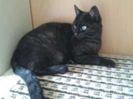 Free download Foto 6690 free photo or picture to be edited with GIMP online image editor