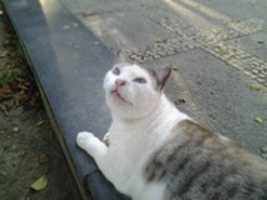 Free download Foto 6785 free photo or picture to be edited with GIMP online image editor