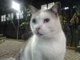 Free download Foto 7112 free photo or picture to be edited with GIMP online image editor