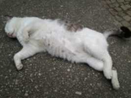 Free download Foto 7405 free photo or picture to be edited with GIMP online image editor