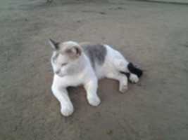 Free download Foto 7566 free photo or picture to be edited with GIMP online image editor