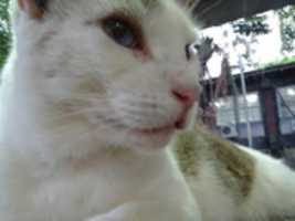 Free download Foto 7657 free photo or picture to be edited with GIMP online image editor