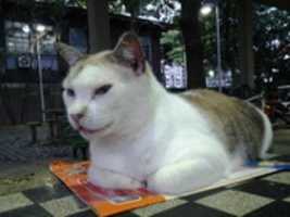 Free download Foto 7661 free photo or picture to be edited with GIMP online image editor