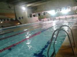 Free download Foto 7731 free photo or picture to be edited with GIMP online image editor