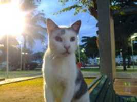 Free download Foto 7742 free photo or picture to be edited with GIMP online image editor