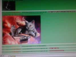 Free download Foto 7797 free photo or picture to be edited with GIMP online image editor