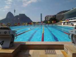 Free download Foto 7821 free photo or picture to be edited with GIMP online image editor