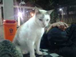 Free download Foto 7981 free photo or picture to be edited with GIMP online image editor