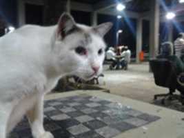 Free download Foto 8073 free photo or picture to be edited with GIMP online image editor