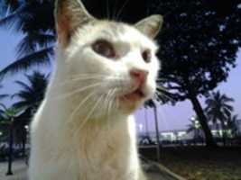 Free download Foto 8322 free photo or picture to be edited with GIMP online image editor