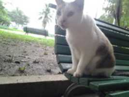 Free download Foto 8634 free photo or picture to be edited with GIMP online image editor