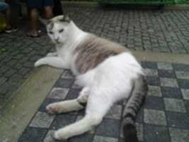 Free download Foto 8653 free photo or picture to be edited with GIMP online image editor