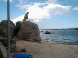 Free download Foto 8904 free photo or picture to be edited with GIMP online image editor