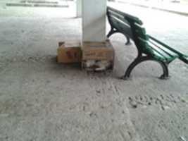 Free download Foto 9062 free photo or picture to be edited with GIMP online image editor